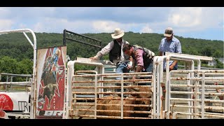 Raising bucking bulls for the rodeo [upl. by Miche]