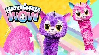 Hatchimals WOW – Unboxing amp How To [upl. by Leasi]