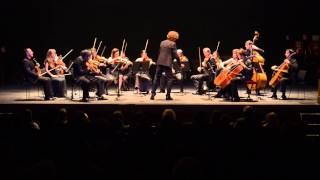 Tchaikovsky  String Serenade  Elegia Larghetto elegiaco  OCNE  Nicolas Krauze [upl. by Aihsenek]