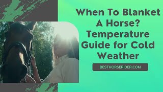 When To Blanket A Horse Temperature Guide for Cold Weather [upl. by Aneert]