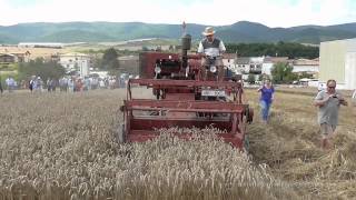 TRABAJANDO CON UNA COSECHADORA ANTIGUA  Día de la Trilla de Salinas de Ibargoiti [upl. by Imelida183]