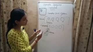 BIOLOGY Lecture 3  Chromatin Chromosome and Chromatid  Genetics Biology [upl. by Burger121]