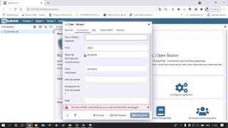 PGAdmin Connection à un serveur [upl. by Cesaria]