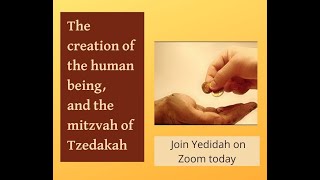 The creation of the human and the mitzvah of tzedakah charity [upl. by Vic479]