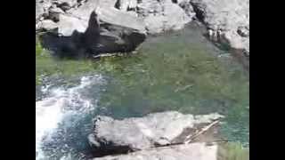 Sproat River Fish Ladder [upl. by Aroel]