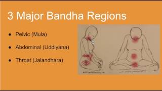 Yoga Bandhas Introduction [upl. by Henrique]