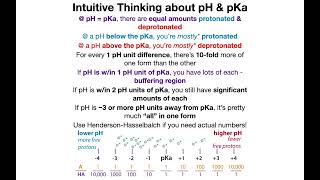 Quick term talk pH pKa pI isoelectric point pKR and acidic vs basic amino acids [upl. by Gish]