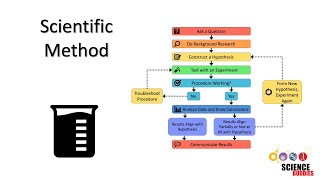 The Scientific Method Steps and Examples [upl. by Silda]