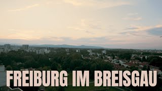 DietiBleibt Waldbesetzung in Freiburg  WsA Proteste [upl. by Annoik269]