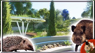 Hedgehog amp Boar habitat  Eve Zoo  Planet Zoo Speedbuild [upl. by Engdahl]