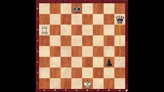 Dont resign when you have quotPowerful Rooksquot against Queen  chess [upl. by Leerzej]