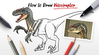 How to Draw Velociraptor 2001 Raptor dinosaur from Jurassic Park and World Easy Step By Step [upl. by Hovey123]