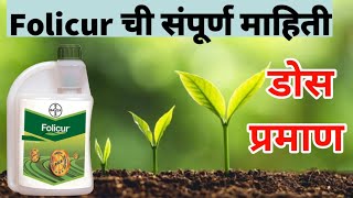 फॉलीक्युअर बुरशीनाशक  folicur fungicide details [upl. by Aklim]