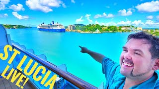 ST Lucia SemiLive SAPPHIRE Princess Live Dingo amp Mum [upl. by Ylram393]