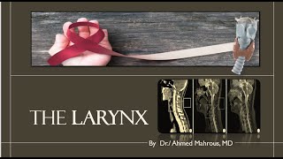 The larynx Larynx imaging anatomy and screening of laryngeal cancer [upl. by Aer]