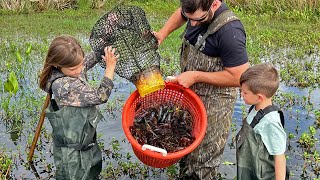 Catch Your Own CRAWFISH in a Pond  Red Swamp Crayfish Catch and Cook [upl. by Stranger]