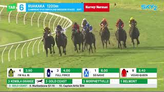 Northland Breeders Stakes 2024  SO NAIVE 3YO G3 Group 3 Ruakaka 17 August [upl. by Sapphira845]