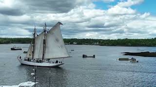 The schooner Bowdoins departure from Boothbay Harbor Maine on May 29 2024 [upl. by Tedra]