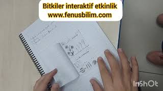 Bitkilerin özellikleri ve çeşitleri boşluk doldurmalı interaktif fenusbilim [upl. by Ettenig750]