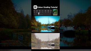 Cinematic ColourGrading Tutorial😍capcuteditcolorgradeeditingcinematicreelscoloureffects [upl. by Rundgren]