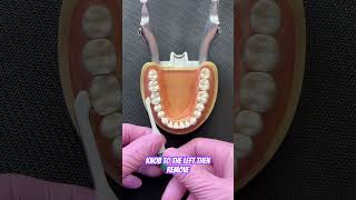 Matrix SetUp the ProMatrix dentist dentalassistant [upl. by Redfield]