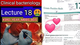 Special Bacteriology lectures5 Gram positive RODS Bacillus clostridum cornybacterium listeria [upl. by Kcirddehs]