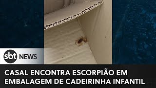 Casal encontra escorpião em embalagem de cadeirinha infantil  SBTNewsnaTV 05042023 [upl. by Eromle906]