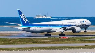 ANA Airlines B777 Landing at San Francisco Int Airport  Aerofly [upl. by Yrrep]