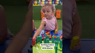 Sorting Colors with Blocks [upl. by Zucker]