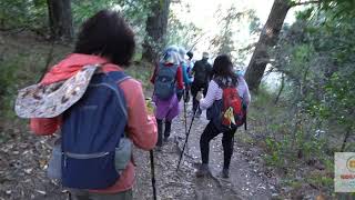 伯克利经典爬山线路之Selby Trail amp Grizzly Peak Trail in Tilden Regional Park [upl. by Ahseirej420]