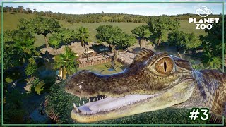 น้องจระเข้จิ๋วทำจราจรติดขัด  caiman  Planet zoo SS2 EP3 [upl. by Hcirteid284]