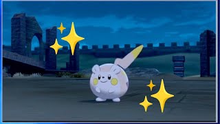 ENFIN UN SHINY DANS LES TAUX ≃ 1000 RENCONTRES✨ [upl. by Aynodal]