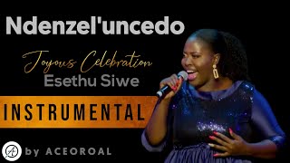 Ndenzele uncedo  Esethu Siwe  INSTRUMENTAL Covered by ACEOROAL [upl. by Hgielram]