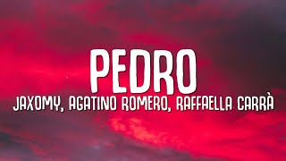 PEDRO  Jaxomy Agatino Romero Raffaella Carrà TikTok Song [upl. by Ahiel]