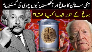 The Science Behind Einsteins Genius A Look at His Brain [upl. by Saundra640]