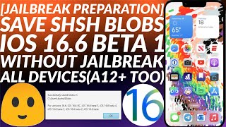 Save SHSH blobs for iOS 166 beta 1 for future downgradeupgrade for upcoming Jailbreak  Easy Guide [upl. by Brigitta]