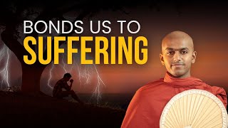 Bonds Us To Suffering  Buddhism in English [upl. by Naillij]