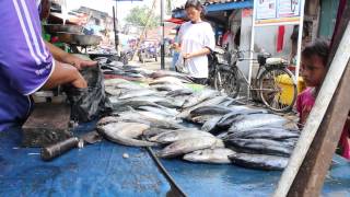 Pasar Ikan Fish Market North Jakarta Indonesia [upl. by Aklim328]