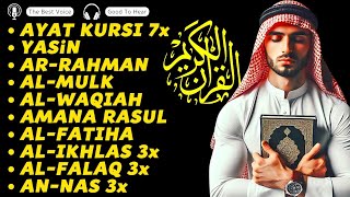 The Heart Touching Voice of Ayat Kursi 7xYasinAr RahmanWaqiahAl MulkKahfiIkhlas  Quran Pro [upl. by Ahsahs]