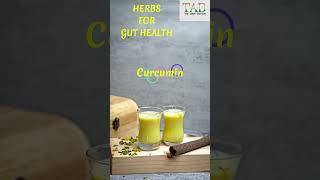 GUT HEALTH with HERBS Get back today [upl. by Yee]