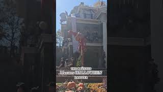 Disneyland Halloween 2024 disneyvlog vlogs coming soon [upl. by Drareg]