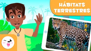 Descubre los hábitats terrestres  Tipos de hábitats para niños [upl. by Tteve]