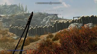 Skyrim  Do a Cartwheel [upl. by Saw115]