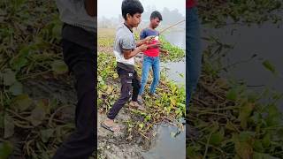 Dil Tham Lo⚡BIG FISH Fallow FOR MORE 💥 fishlover gonefishing fish🙏🙏🙏 [upl. by Adest997]