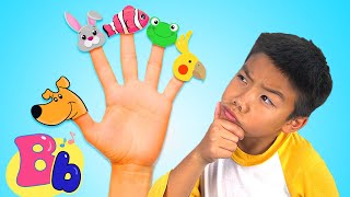 Pets Finger Family – Bouncy Beats Kids Songs amp Nursery Rhymes [upl. by Ravens830]