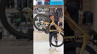 Cervelo Soloist Gold Dust x Shimano DuraAce C50 Wheelset [upl. by Senaj]