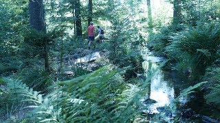 einer der besten Wanderwege im Saarland Der Losheimer Felsenweg [upl. by Siroled547]