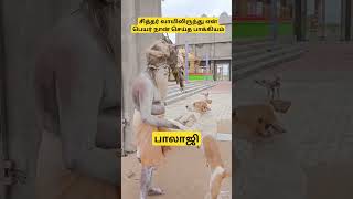 மாபெரும் மலையை உருவாக்கிய மகானந்த சித்தர் l தினந்தோறும் தரிசிக்க வரும் பக்தர்கள் [upl. by Tedman]