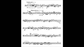 CHRONICLE for Solo Tuba and Piano [upl. by Tressia]