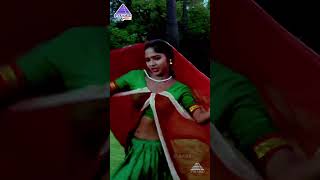 நான் தூங்கியே  Poo Pookkum Maasam Video Song  Varusham 16 Movie Songs  Kushboo  YTShorts [upl. by Mitinger447]